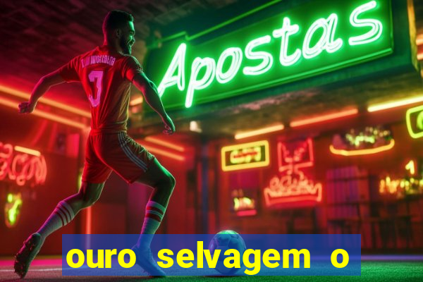 ouro selvagem o que aconteceu na vida